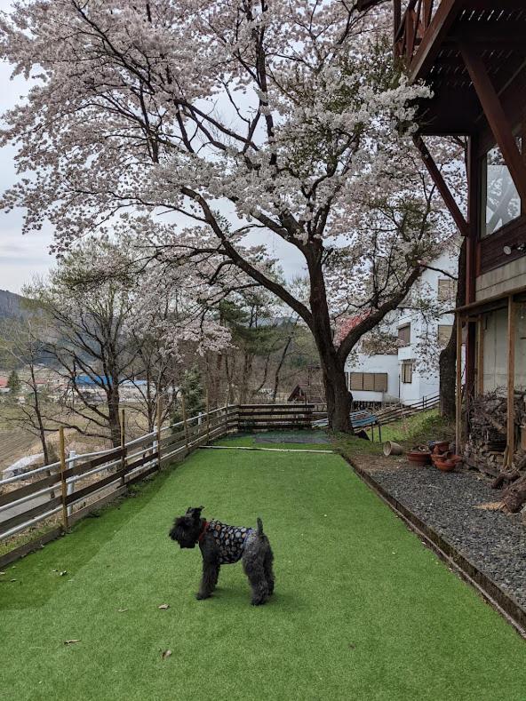ホテル ワンコと泊まるジャスミンクリーク 豊岡市 エクステリア 写真